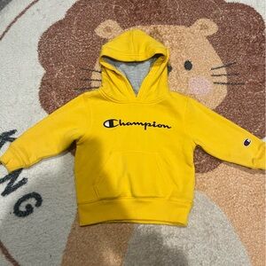 Toddlers Champion hoodie